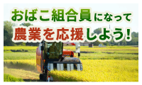 おばこ組合員になって農業を応援しよう！