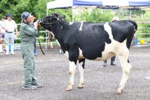 畜産共進会の様子