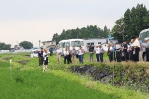 稲作総合現地検討会・室内検討会の様子