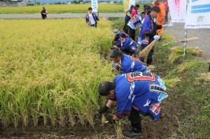 京急グループ社員をはじめ、JA全農あきたや大曲農業高校の生徒らが参加する様子