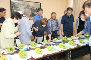 糖度や果房重などを調査して収穫の目安を確認する様子