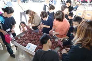 サツマイモや柿の詰め放題の様子